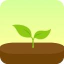 forest专注森林免费