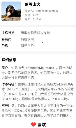 口袋乐看