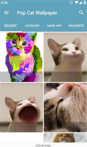 Pop猫壁纸