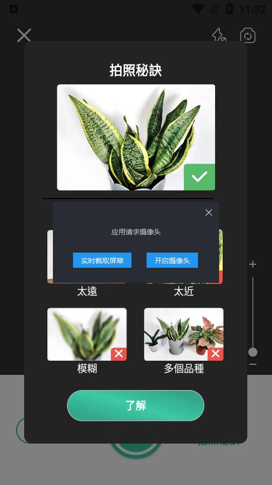 拍照识花识别植物picturethis免费版v5.5.0 中文最新版 v6.2.1