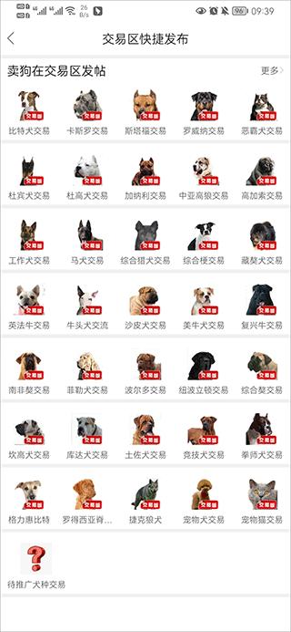 猛犬俱乐部