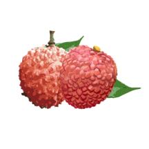 增城泊车手机客户端1.5.5 安卓版