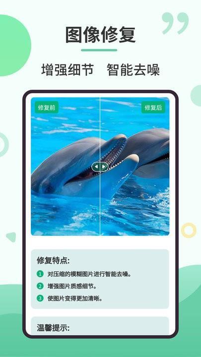 照修复专家