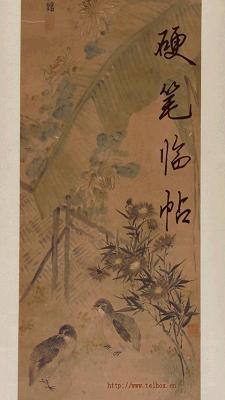 硬笔临帖免费版