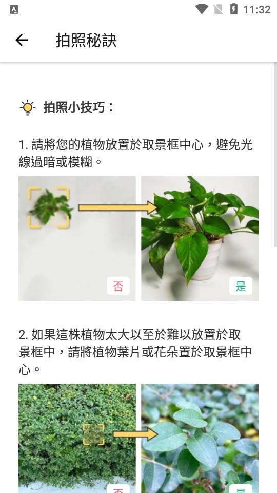 拍照识花识别植物picturethis免费版v5.5.0 中文最新版 v6.2.1