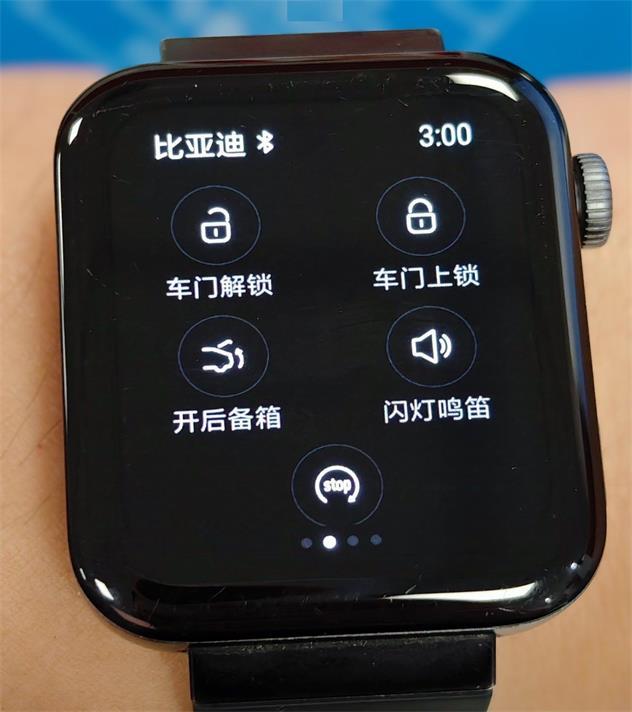 比亚迪汽车APP手表版v1.1.0 安卓最新版 v6.0.2