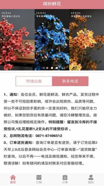 缤纷鲜花网上预售