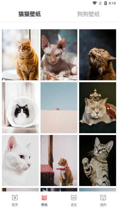 动物交流器app安卓版v 3.1.0 最新版 v6.1.4