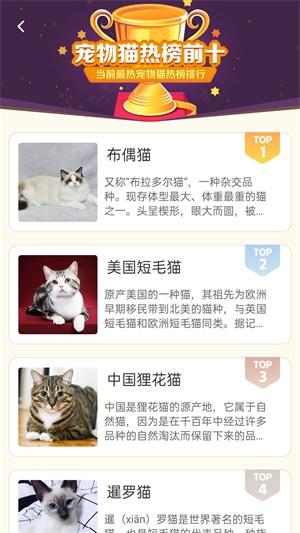 今日榜单