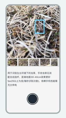 乐见虫草虫草识别