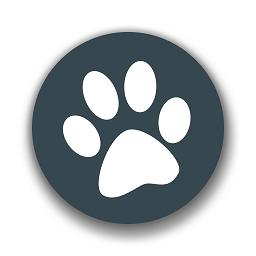 翻译器兽音译者