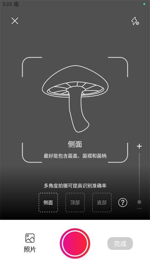 蘑菇识别扫一扫