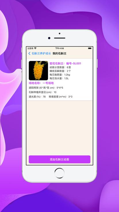 小兰君专业版