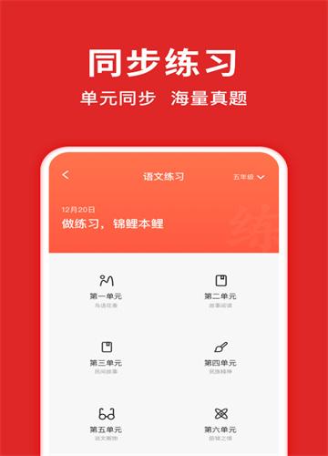 题拍拍题库