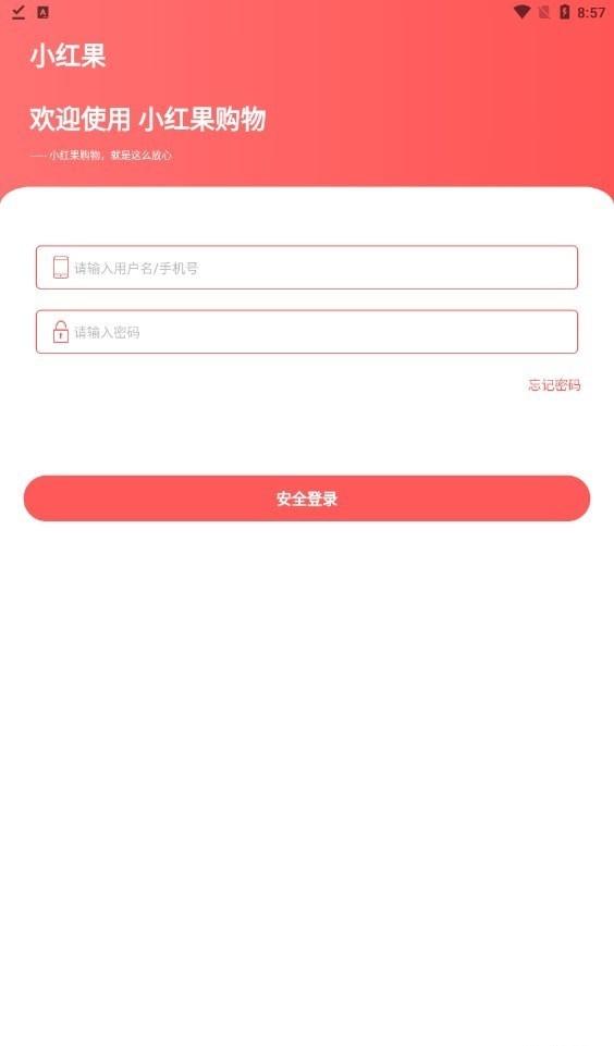 小红果购物