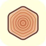 年轮单词官方版v1.5.10 安卓手机最新版