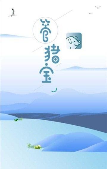 管猪宝