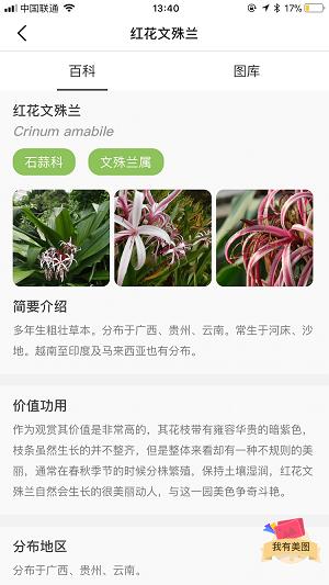 花伴侣拍照识花