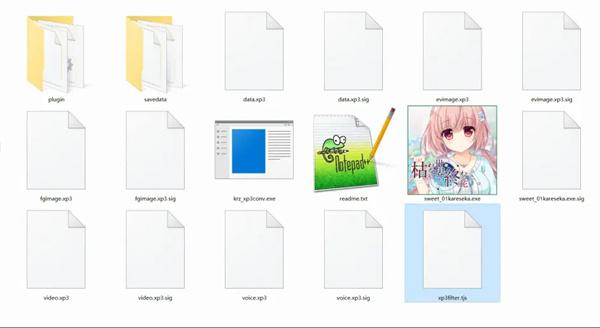 krkr2模拟器2.3.9版本