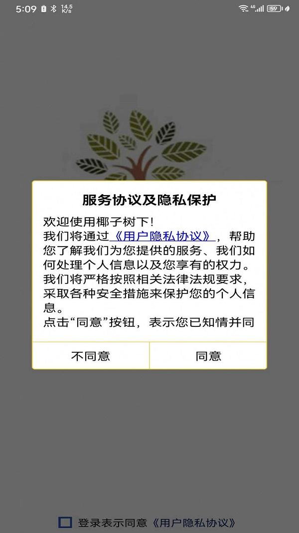 椰子树下