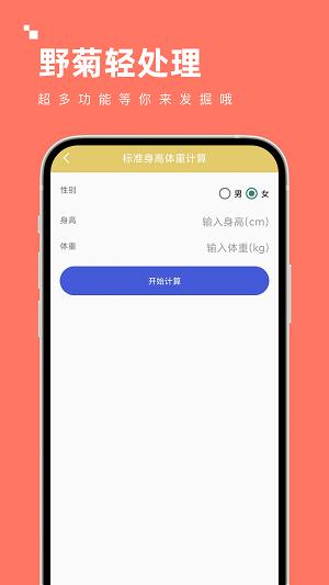 野菊轻处理